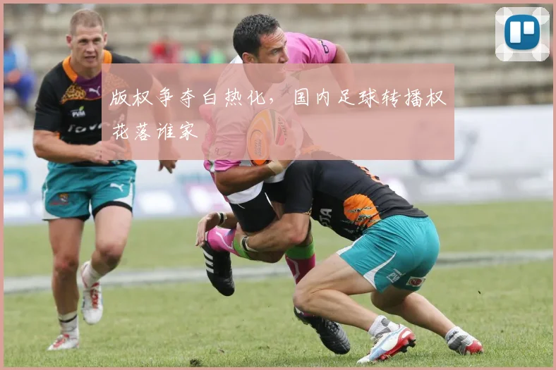 版权争夺白热化,国内足球转播权花落谁家
