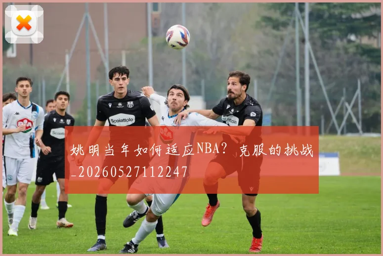 姚明当年如何适应NBA？克服的挑战_20260527112247
