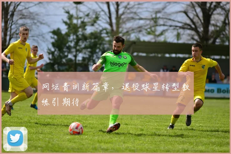 网坛青训新篇章,退役球星转型教练引期待